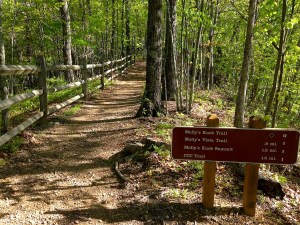 Well-maintained and signed trails