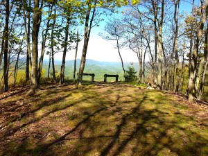 The view from Molly's Knob