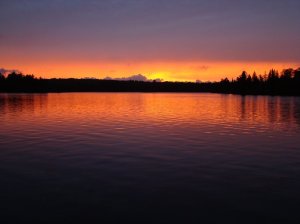 BWCA 0